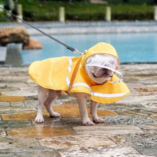 Doglemi Wasserdichter Hundemantel, Größe S, für kleine Hunde, Gelb