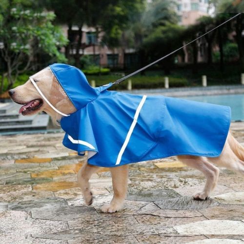 Doglemi XL Wasserdichter Hundemantel für kleine Hunde - Blau