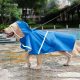 Doglemi XL Wasserdichter Hundemantel für kleine Hunde - Blau