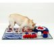 Schnüffelmatte für Hunde und Katzen – Leckerli-Suchspiel