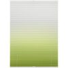 Blux Designer-Verdunkelungsrollo 110 x 130 cm, Grün - Weiß