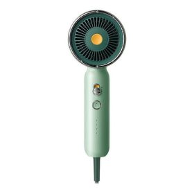  Soocas RH1 Professioneller Ionisierender Haartrockner 1600 W – Grün