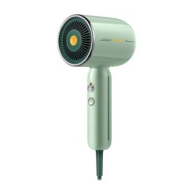   Soocas RH1 Professioneller Ionisierender Haartrockner 1600 W – Grün