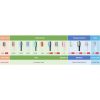 Oclean P1C5 B06 Plaque Control Zahnbürstenkopf – 6 Stück, Schwarz