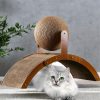 Katzenkratzbaum mit befestigtem Spielball – Robuste Kratzfläche für kleine und mittelgroße Katzen