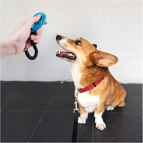 LZGOPE Hunde-Clicker-Set mit Handschlaufe, 5-teilig, Orange, Zitrone, Rot, Blau, Schwarz