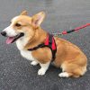 Deko Hundegeschirr M (Rot)