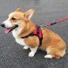 Deko Hundegeschirr XL (Rot)