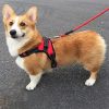 Deko Hundegeschirr XL (Rot)