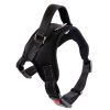 Deko Hundegeschirr XL (Schwarz)