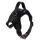 Deko Hundegeschirr XL (Schwarz)