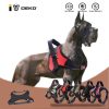 Deko Hundegeschirr XL (Schwarz)