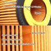 Motor Ölfilter