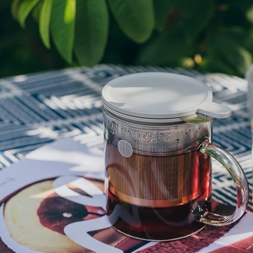 Buydeem CD2001 Teekanne aus Glas, 500 ml