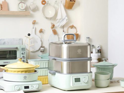 Buydeem G564 Elektrischer Multifunktions-Dampfgarer mit Kochtöpfen, 10 l (grün)