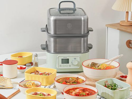 Buydeem G564 Elektrischer Multifunktions-Dampfgarer mit Kochtöpfen, 10 l (grün)