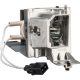 Optoma BL-FP190E Ersatz-Projektorlampe – Originallampe für ausgewählte Optoma-Projektoren
