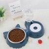 Zonsuse Futternapf für Katzen mit automatischem Wasserspender