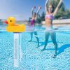 Wassertemperaturanzeige für Enten