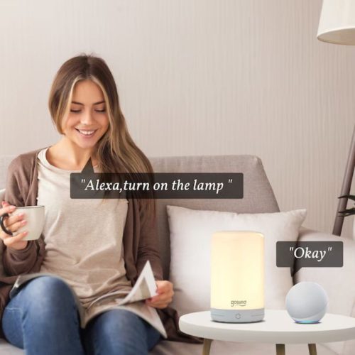 Gosund Smart LED Nachtlicht RGBW Farbwechsel WiFi Steuerung - Weiß