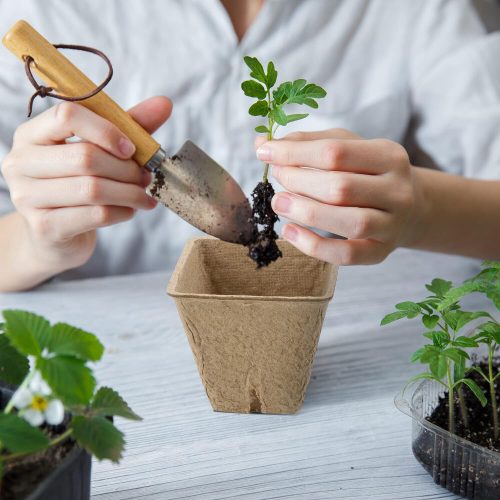 Hahood Torftöpfe Pflanzenstarter 60 Stück 5, 8cm