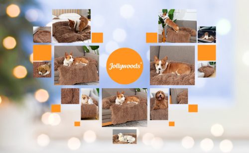 Jollywoods Sofaschutz-Hundebett für kleine und mittelgroße Hunde, Braun, L(110 x 110 x 15 cm)