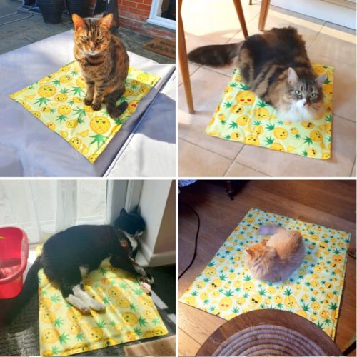 Furrybaby Haustier-Kühlmatratze XL 81x96 cm (Ananas)