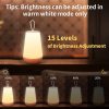 LED-Nachtlampe (Holz)