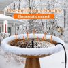 iKuchelife Winter-Vogelheizung mit Springbrunnen, 250 W, Schwarz